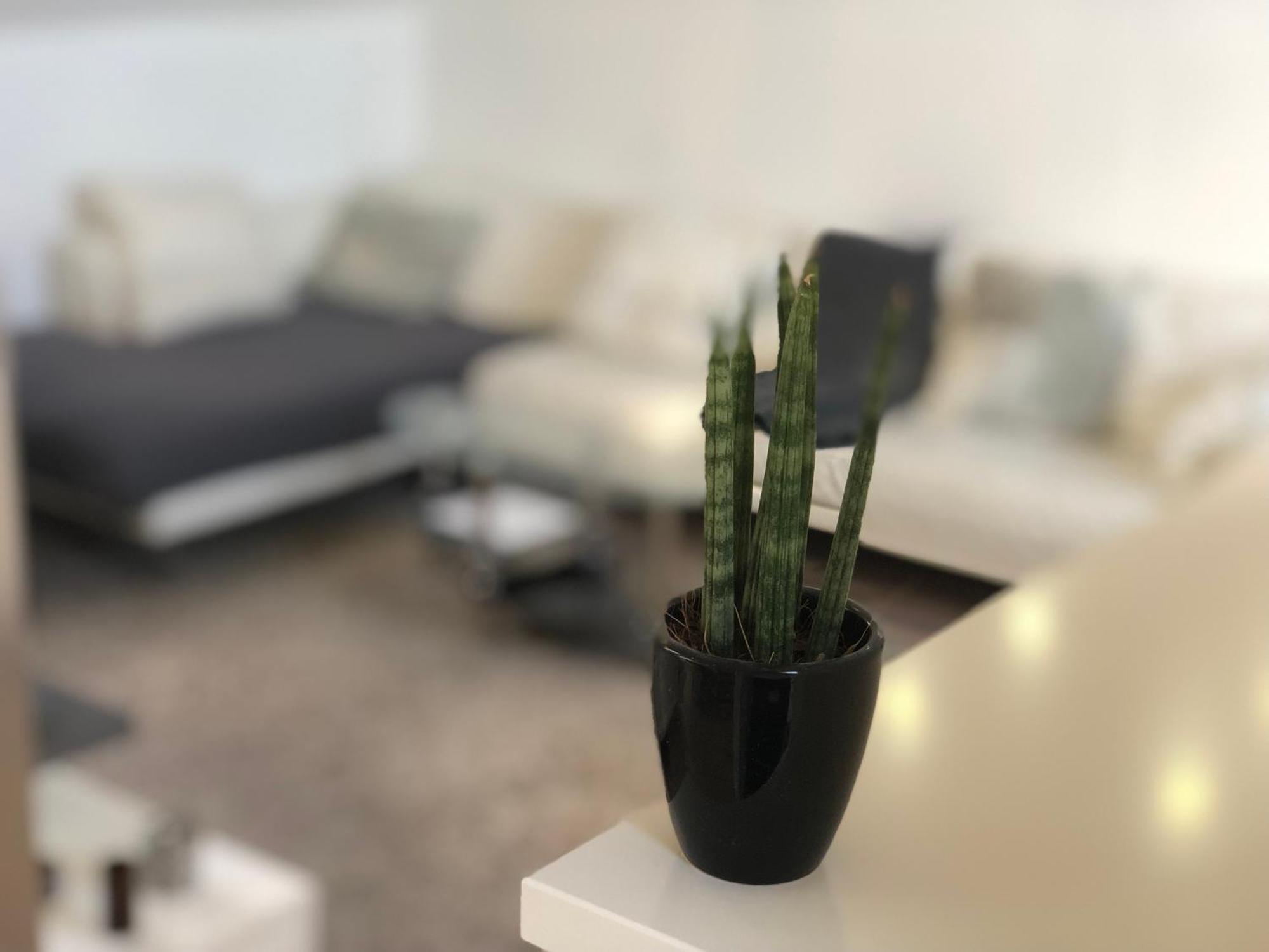 Caleva'S Bnb Pforzheim Exteriör bild